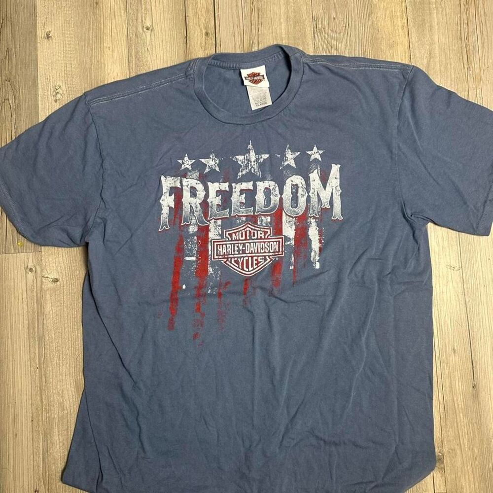 Harley-davidson Men's Blue and Navy T-shirt
